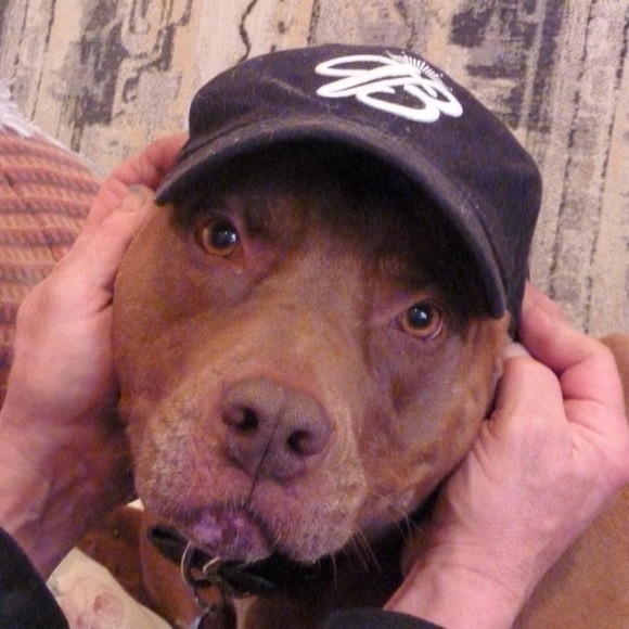 Meet your Posher, Carolyn - Picture 13 of 15